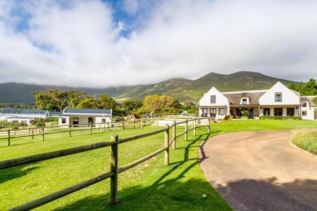 Serene, Thatched Apartment In Noordhoek, Cape Town Exterior photo
