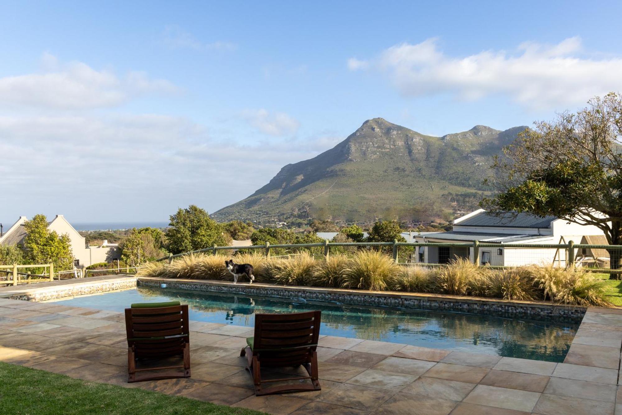 Serene, Thatched Apartment In Noordhoek, Cape Town Exterior photo